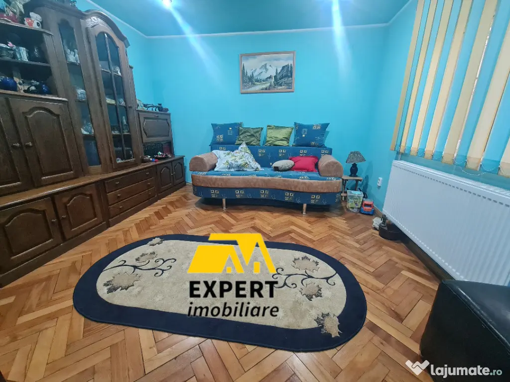 Casa Brailita sup 577 mp ,mobilata complet 