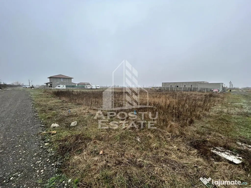 Teren 530 mp, Sacalaz, zona de case noi, zona PUZ Cosma.