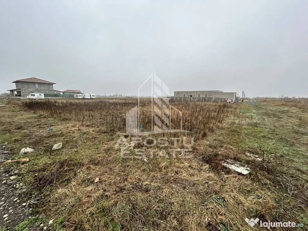 Teren 530 mp, Sacalaz, zona de case noi, zona PUZ Cosma.