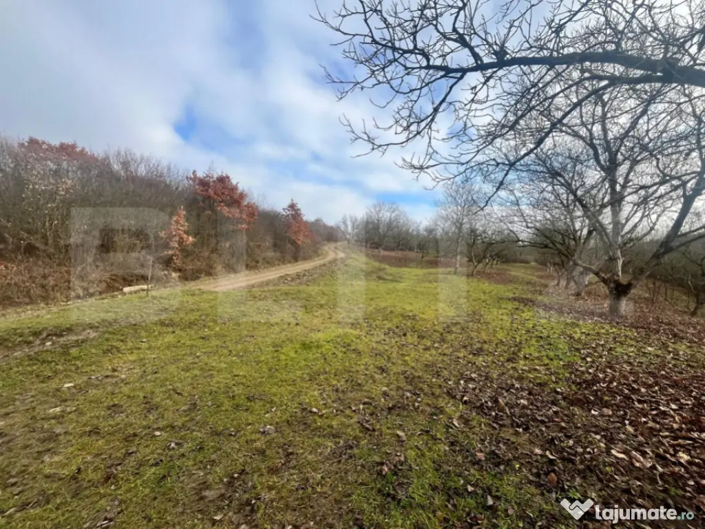 Teren extravilan, 4 hectare, langa livada de mere Ghinda