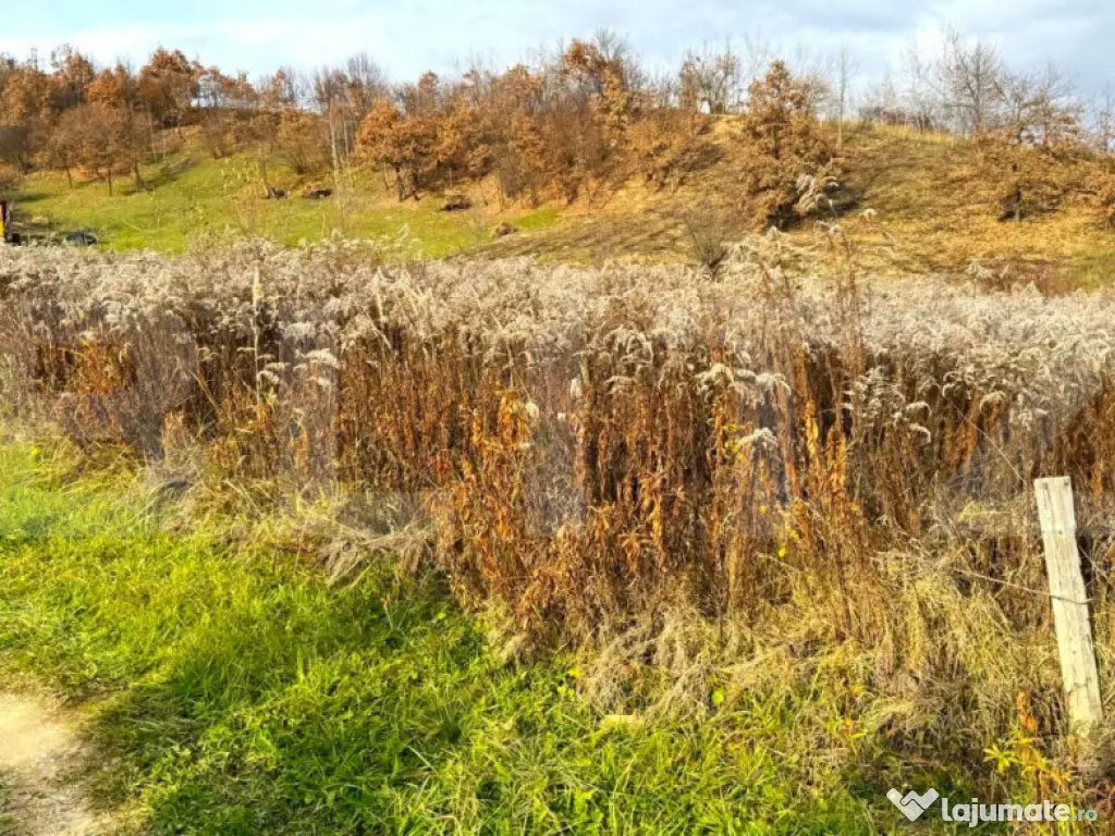 Teren extravilan de vanzare, 2400 mp, zona Valea Ghinzii