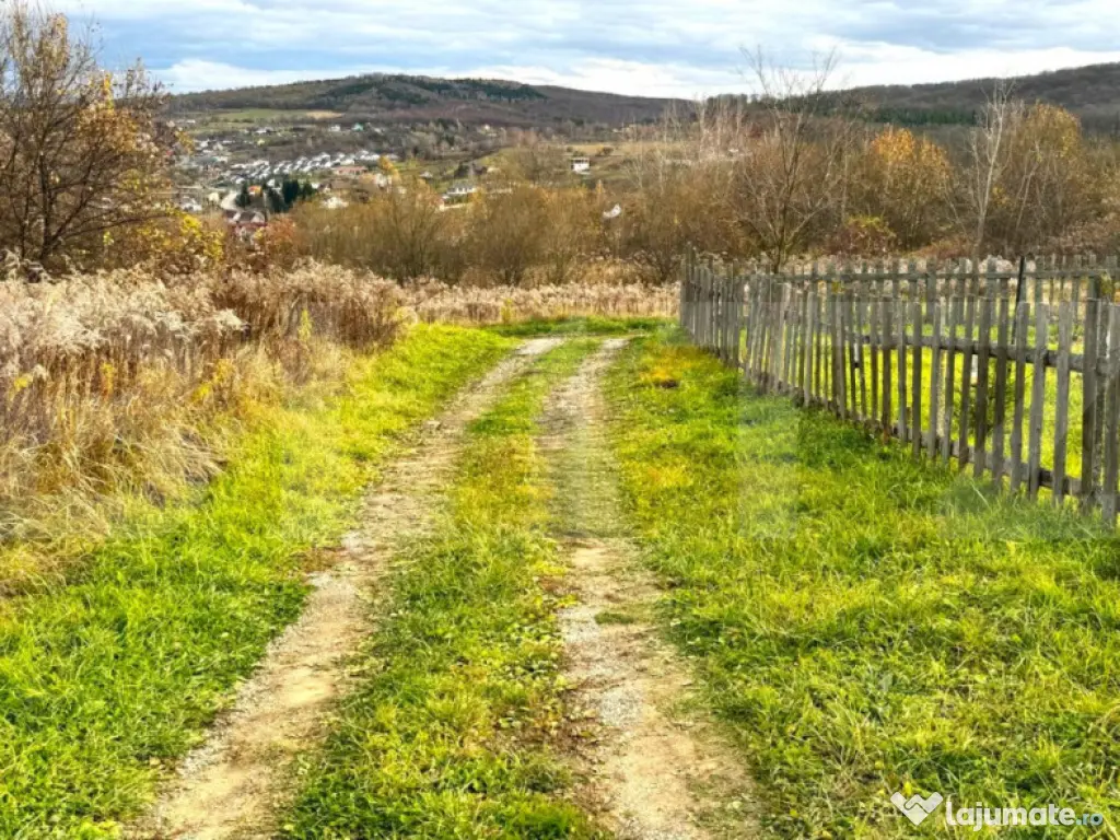 Teren extravilan de vanzare, 2400 mp, zona Valea Ghinzii