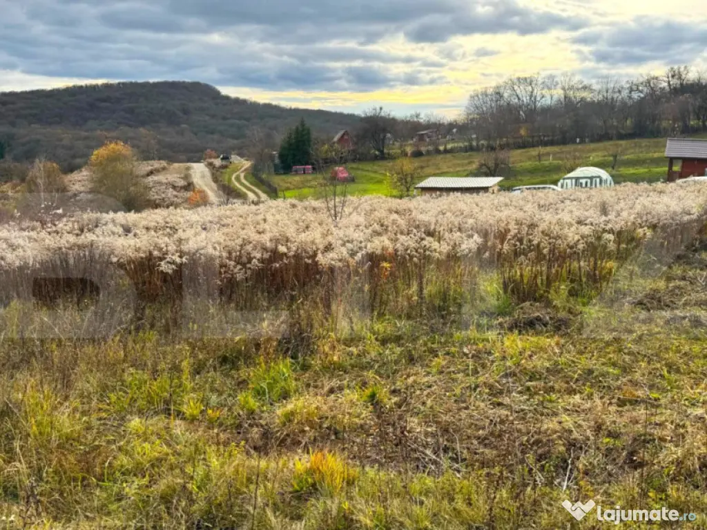 Teren extravilan de vanzare, 2400 mp, zona Valea Ghinzii