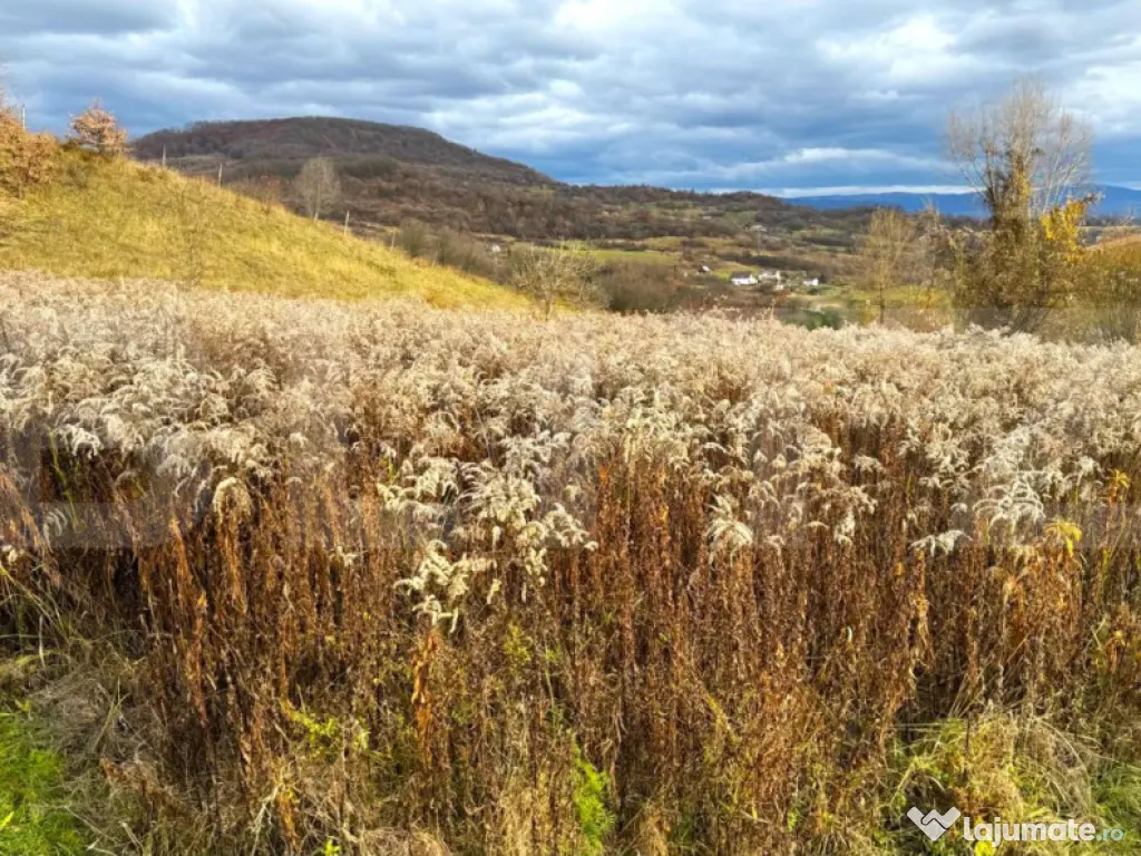 Teren extravilan de vanzare, 2400 mp, zona Valea Ghinzii