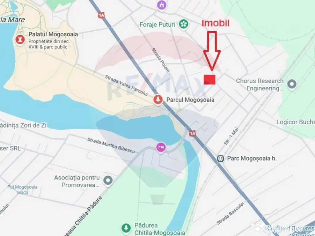 Casă de vanzare | Teren | Mogosoaia 
