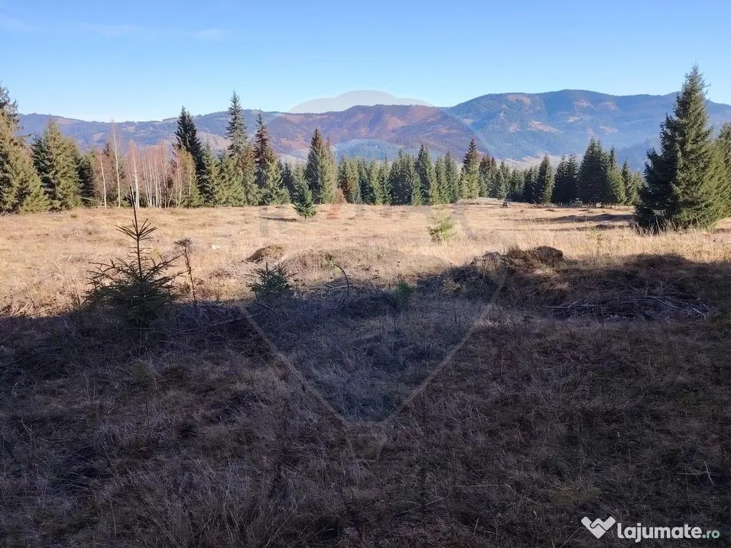 Teren 16,289mp Coverca / Drumul Bucinis