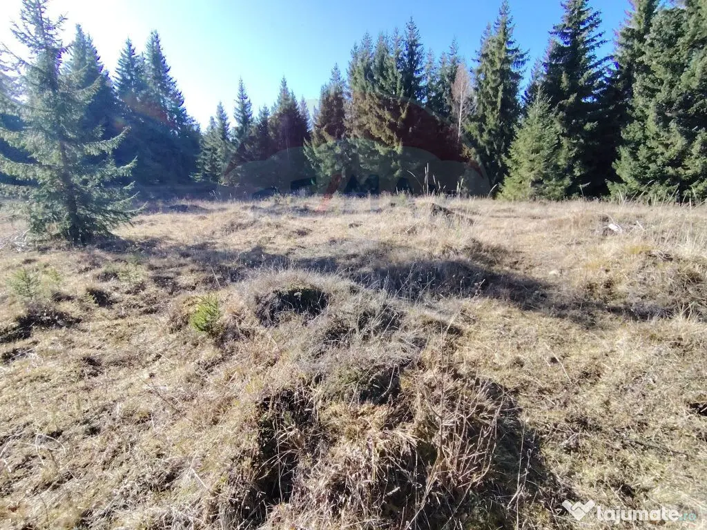 Teren 16,289mp Coverca / Drumul Bucinis