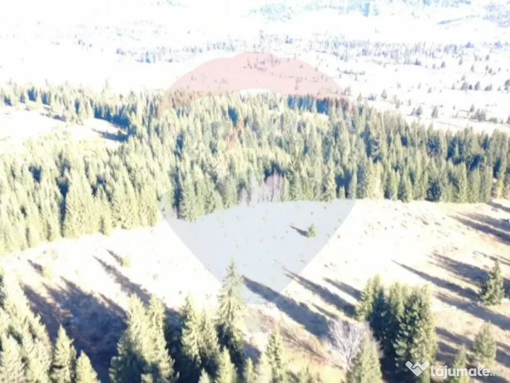 Teren 16,289mp Coverca / Drumul Bucinis