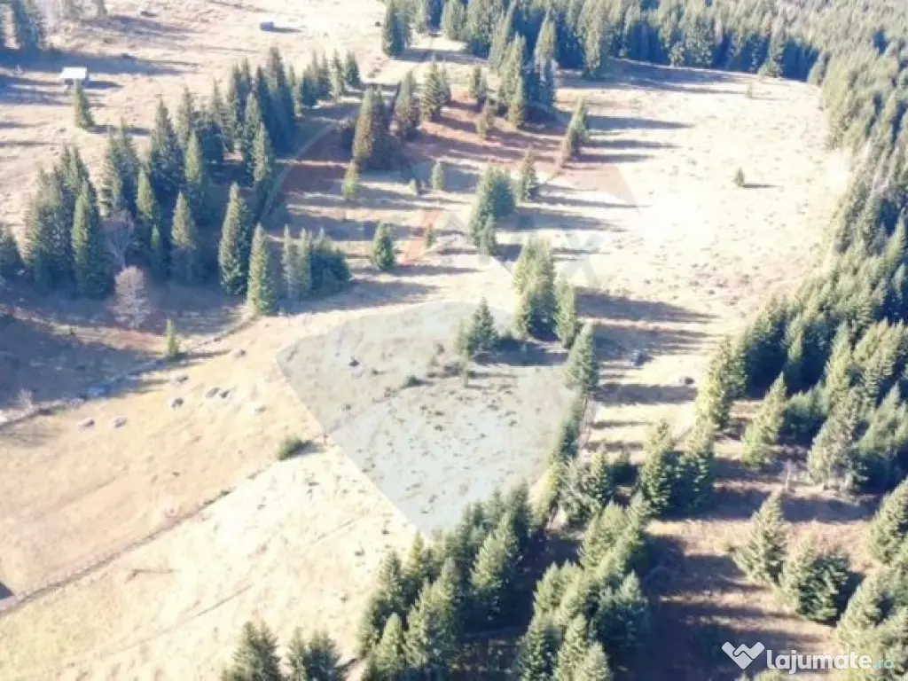 Teren 16,289mp Coverca / Drumul Bucinis