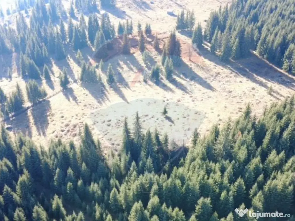 Teren 16,289mp Coverca / Drumul Bucinis