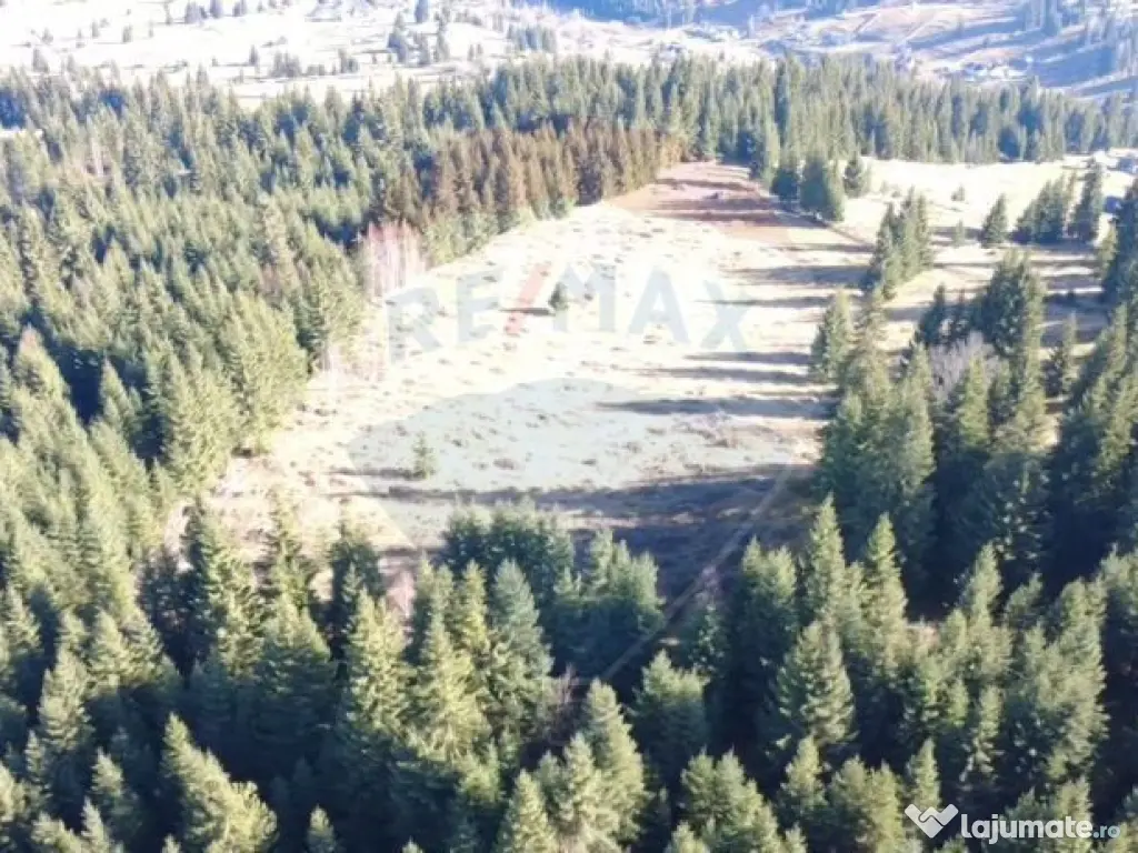 Teren 16,289mp Coverca / Drumul Bucinis