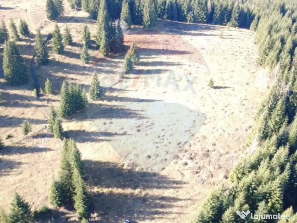 Teren 16,289mp Coverca / Drumul Bucinis