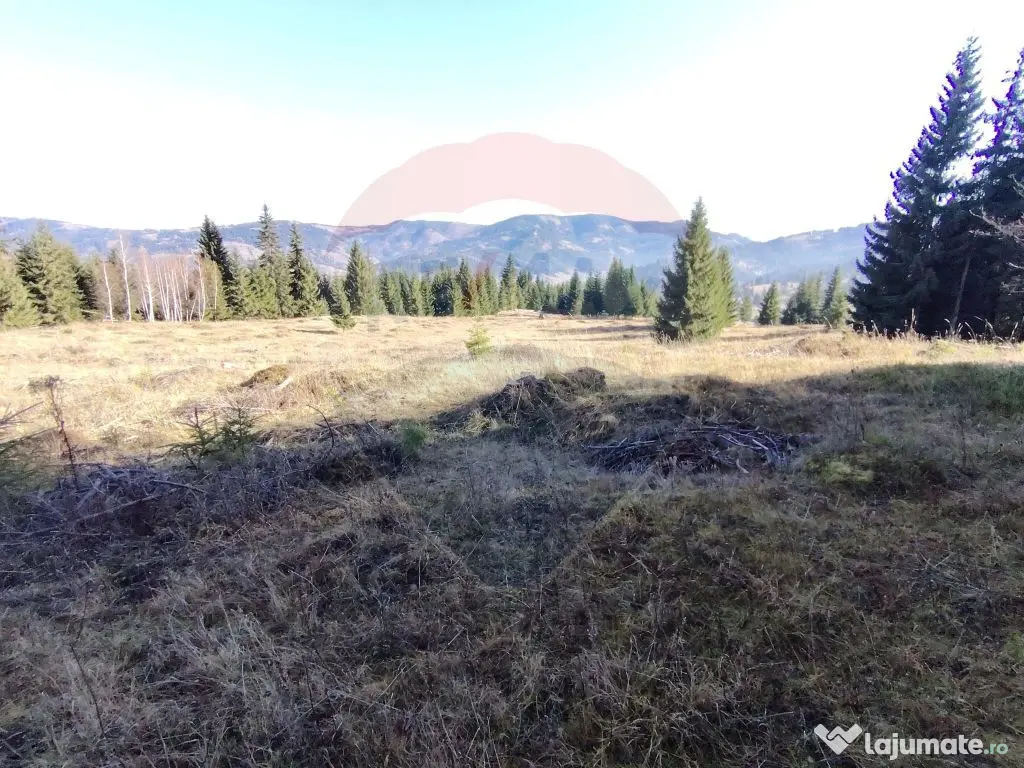 Teren 16,289mp Coverca / Drumul Bucinis
