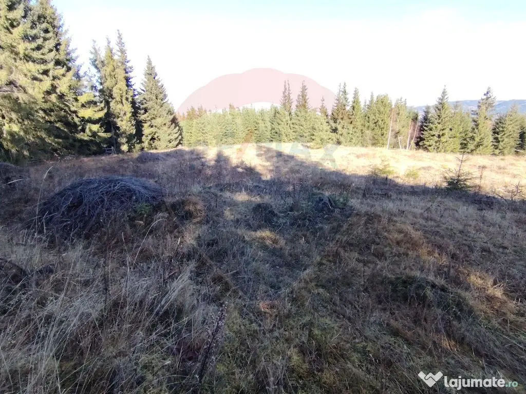 Teren 16,289mp Coverca / Drumul Bucinis