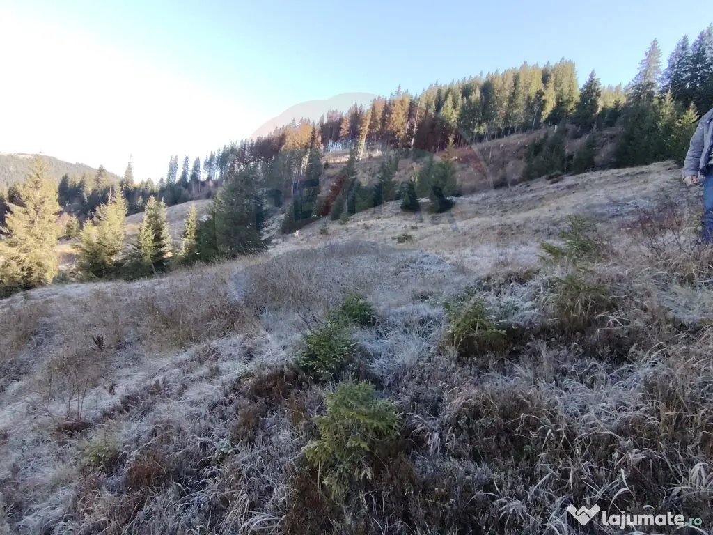 Teren 31,461mp Panaci / Prelungirea Ialovita