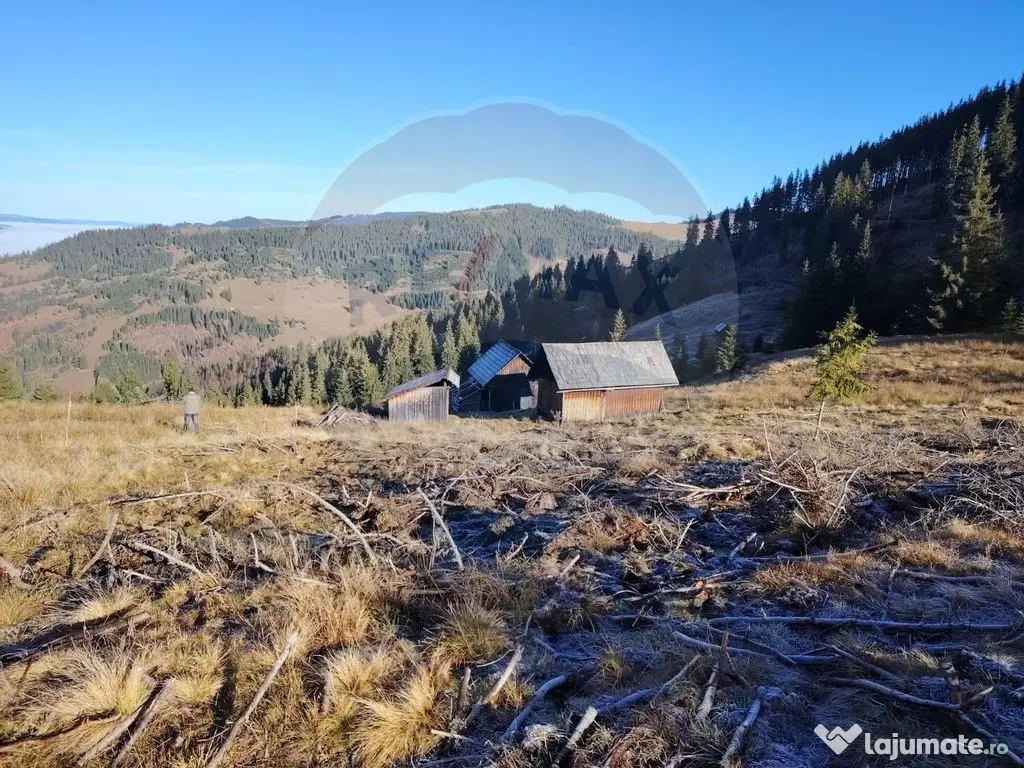 Teren 31,461mp Panaci / Prelungirea Ialovita