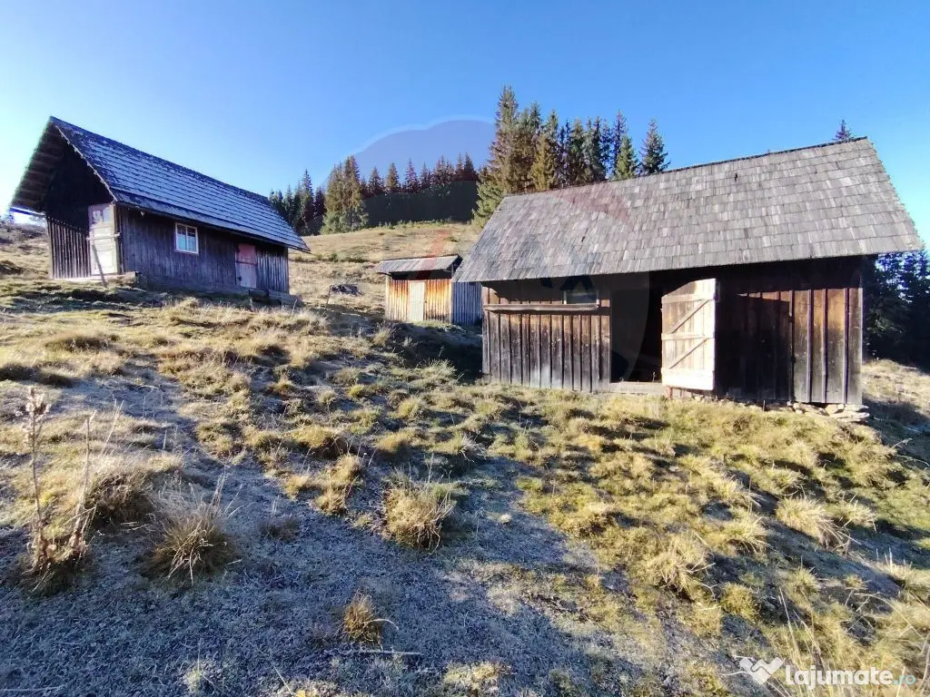 Teren 31,461mp Panaci / Prelungirea Ialovita