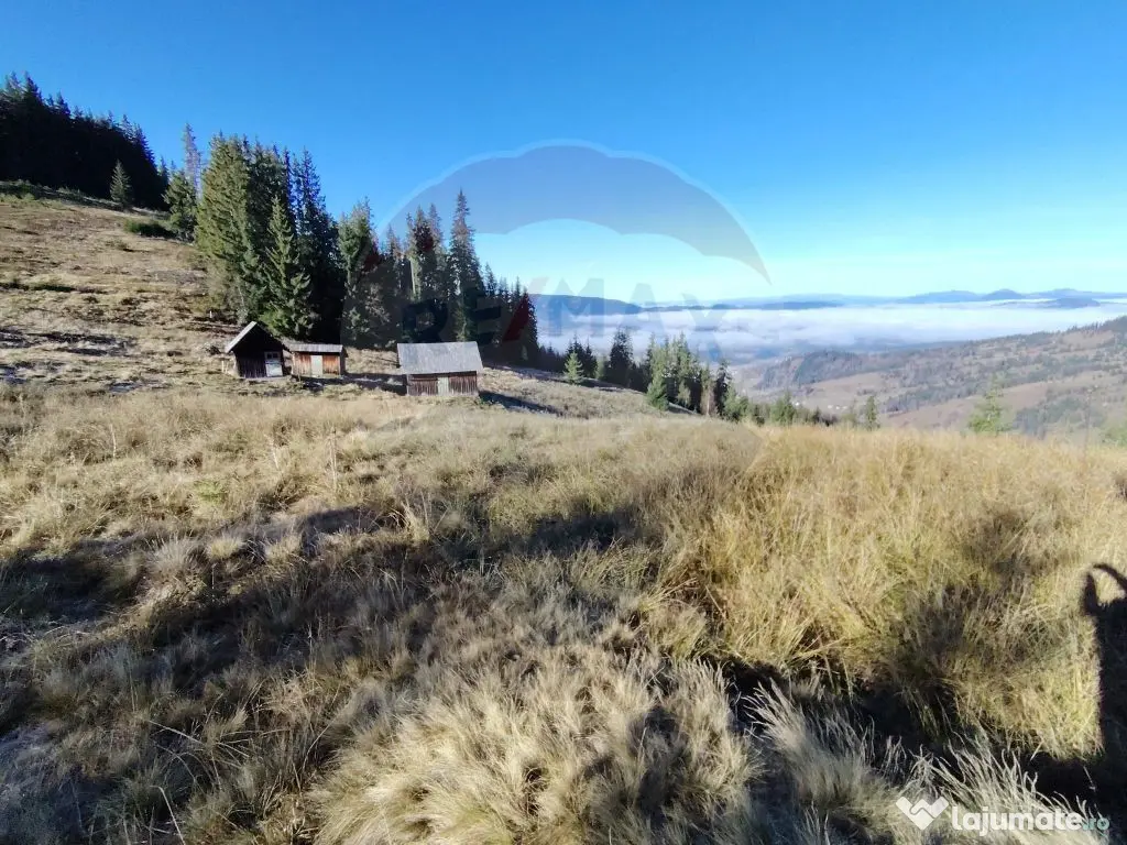 Teren 31,461mp Panaci / Prelungirea Ialovita