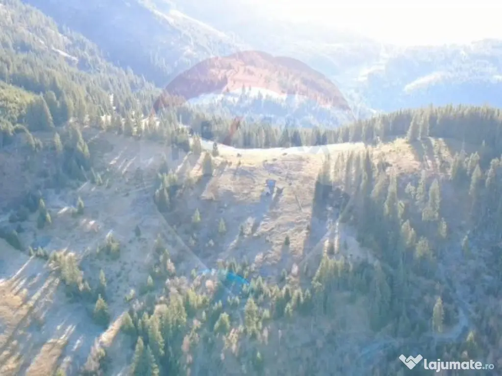 Teren 31,461mp Panaci / Prelungirea Ialovita