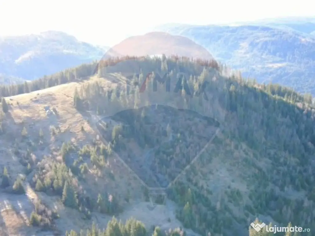 Teren 31,461mp Panaci / Prelungirea Ialovita