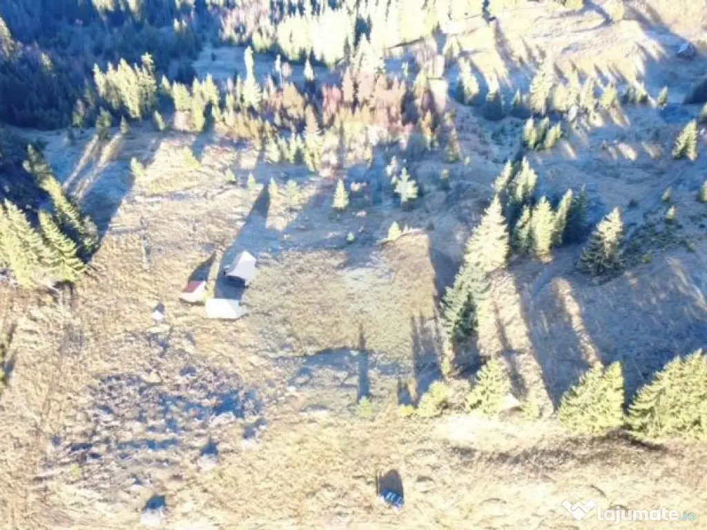 Teren 31,461mp Panaci / Prelungirea Ialovita