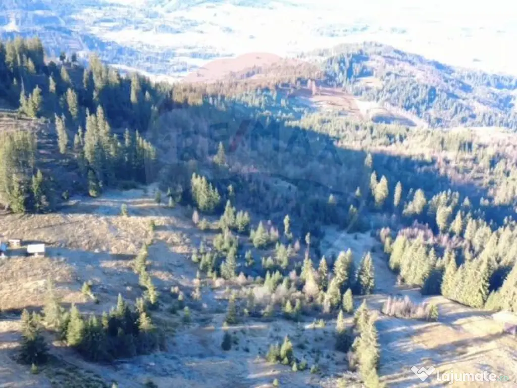 Teren 31,461mp Panaci / Prelungirea Ialovita