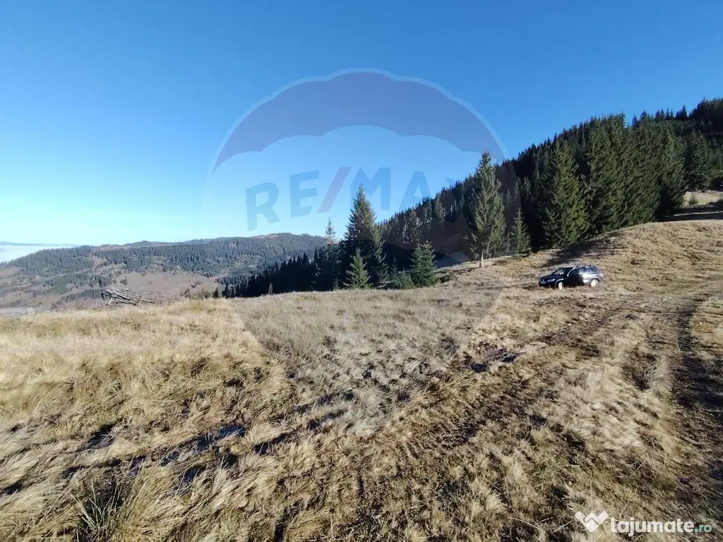 Teren 31,461mp Panaci / Prelungirea Ialovita