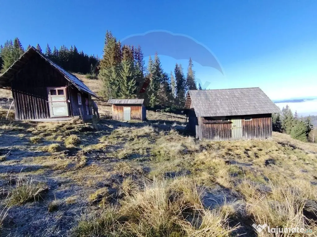 Teren 31,461mp Panaci / Prelungirea Ialovita