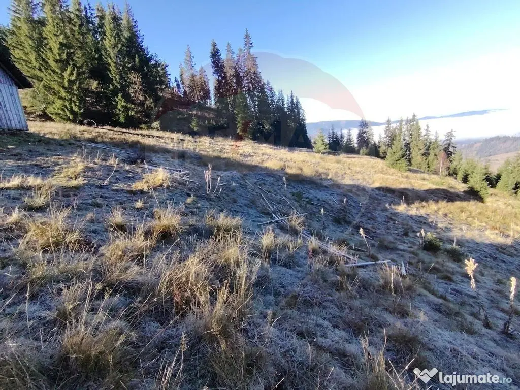 Teren 31,461mp Panaci / Prelungirea Ialovita