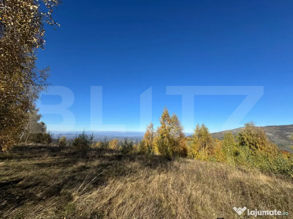 Teren extravilan de 17.183 mp in Târsa