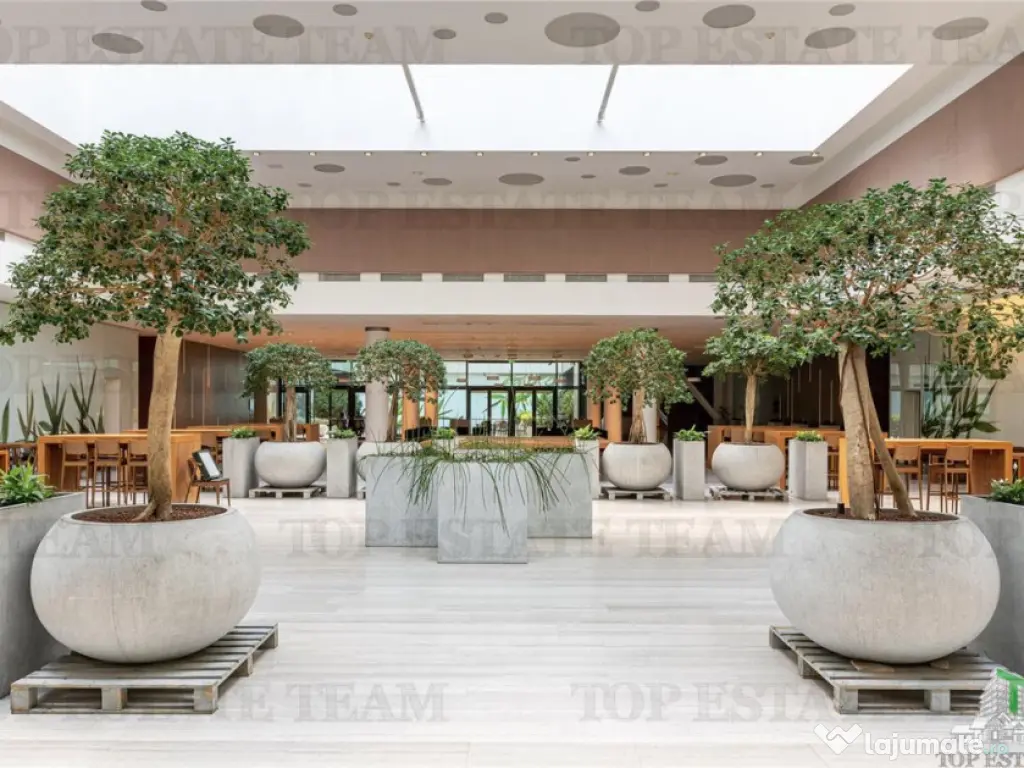 Spatiu de Birouri de 494 mp in Zona Baneasa 