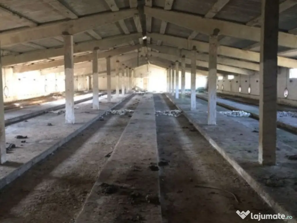 Teren intravilan 26395 mp (fosta Ferma Avicola), Zona Simnic