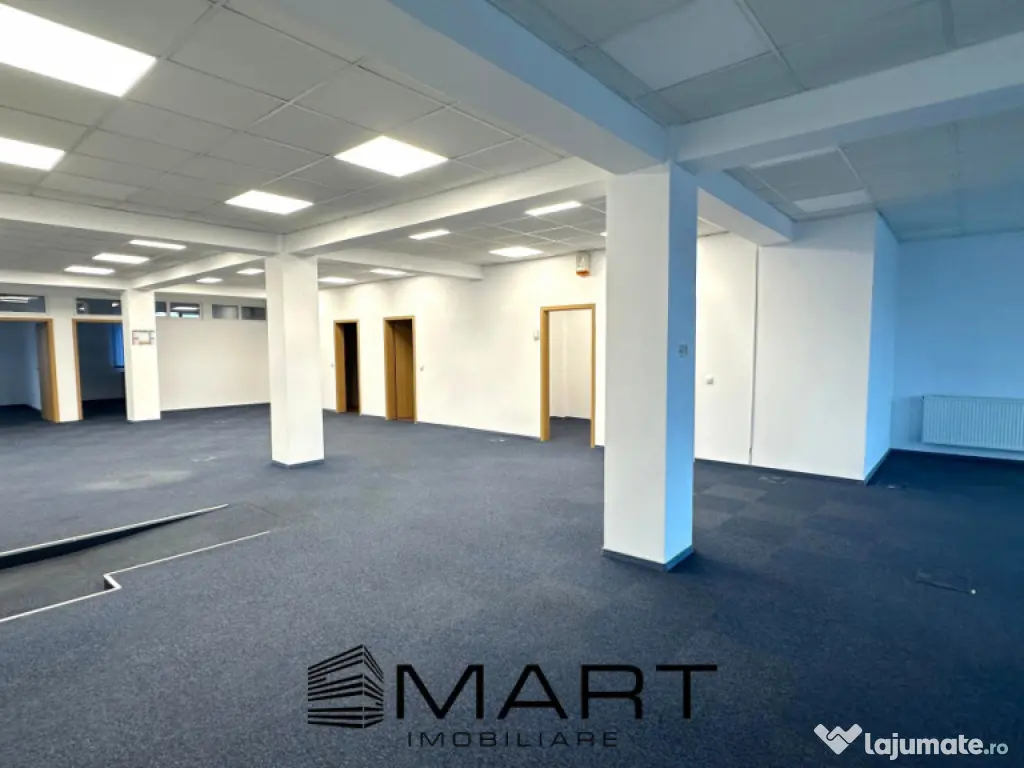 Spatiu birouri 250mp Calea Dumbravii 