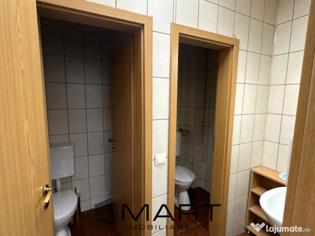 Spatiu birouri 250mp Calea Dumbravii 