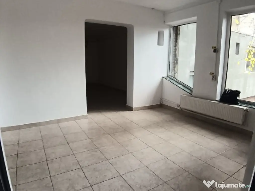 Granicerilor, spatiu comercial 100mp 