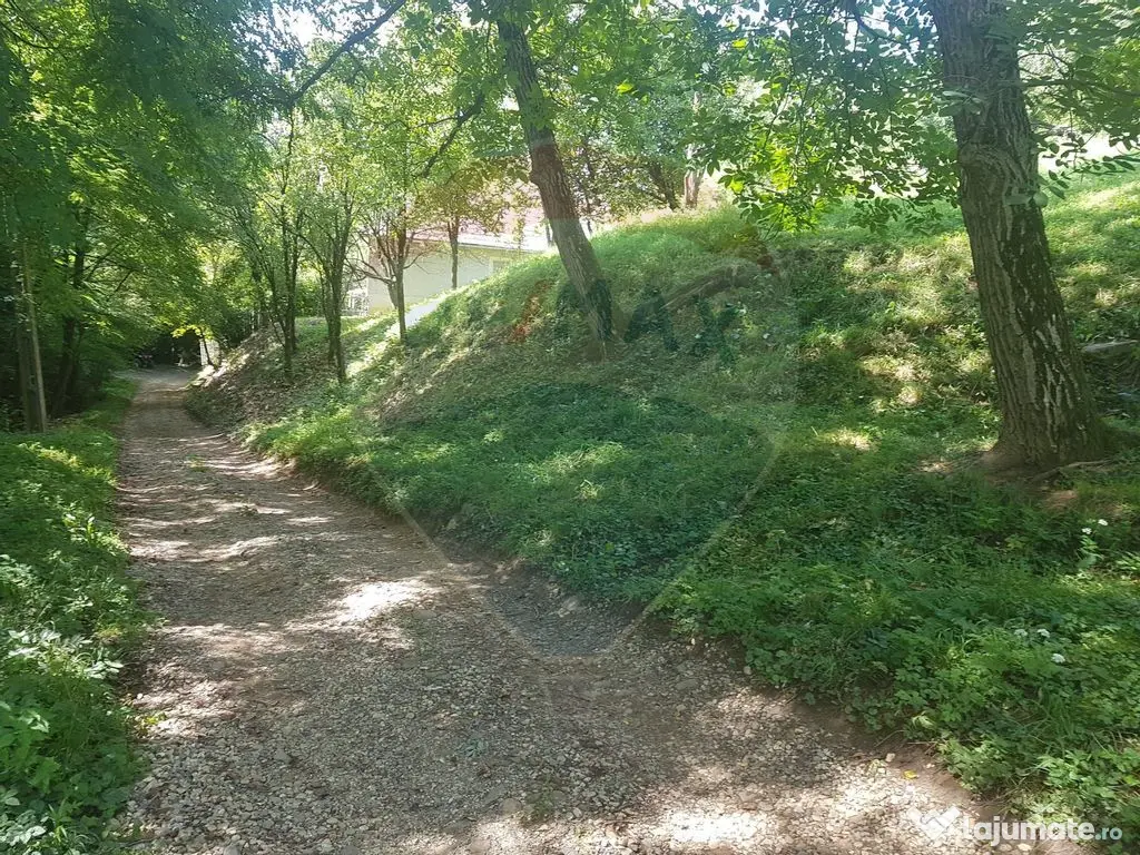 1.72 ha TEREN DE VANZARE - Seini 