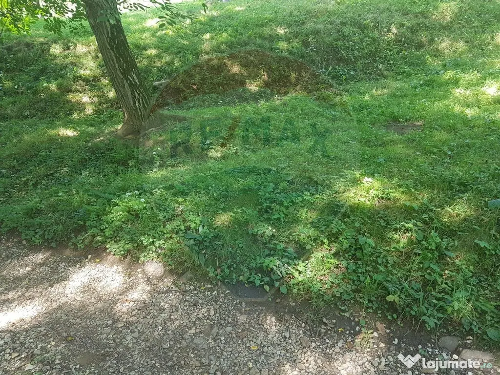 1.72 ha TEREN DE VANZARE - Seini 