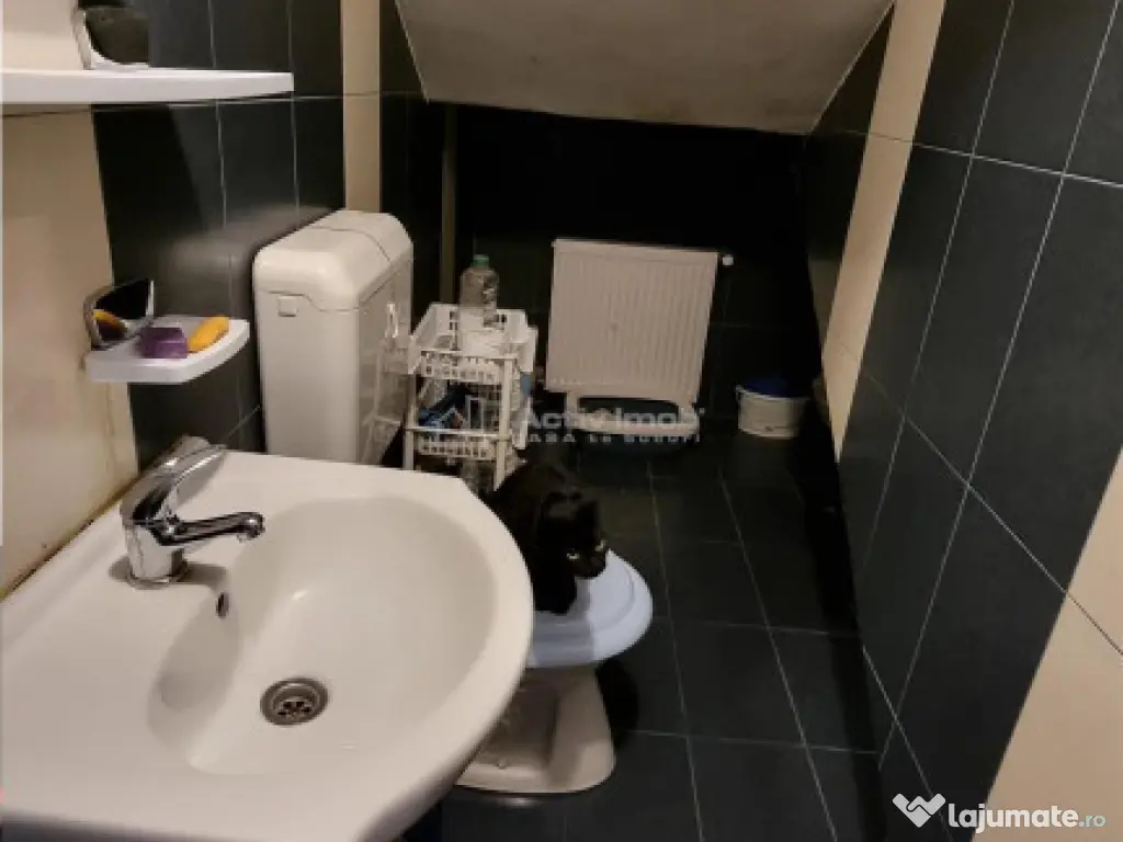 3 camere in vila si curte individuala 