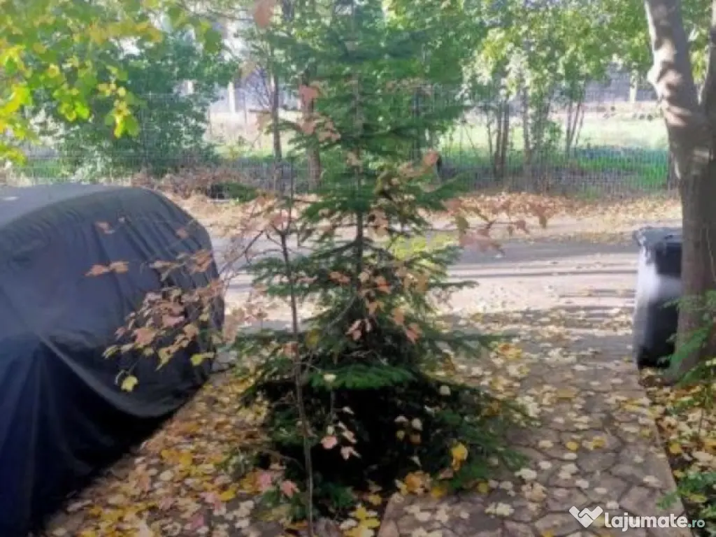 CASA DE VANZARE, BRAGADIRU, 4 CAMERE 