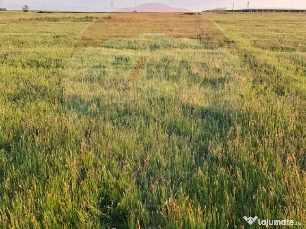 Teren intravilan, zona in plina dezvoltare industriala lo... 