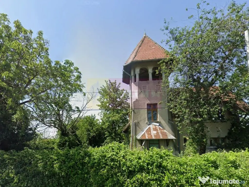 Casa de vanzare (vad comercial) 