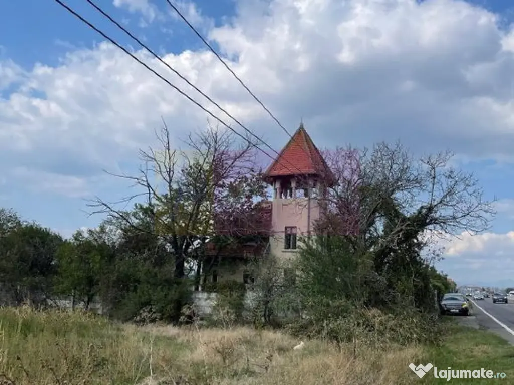 Casa de vanzare (vad comercial) 