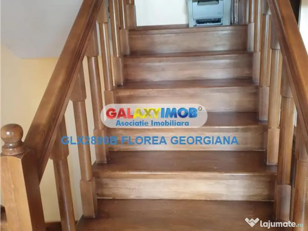 Vila deosebita de in Otopeni - Odai 