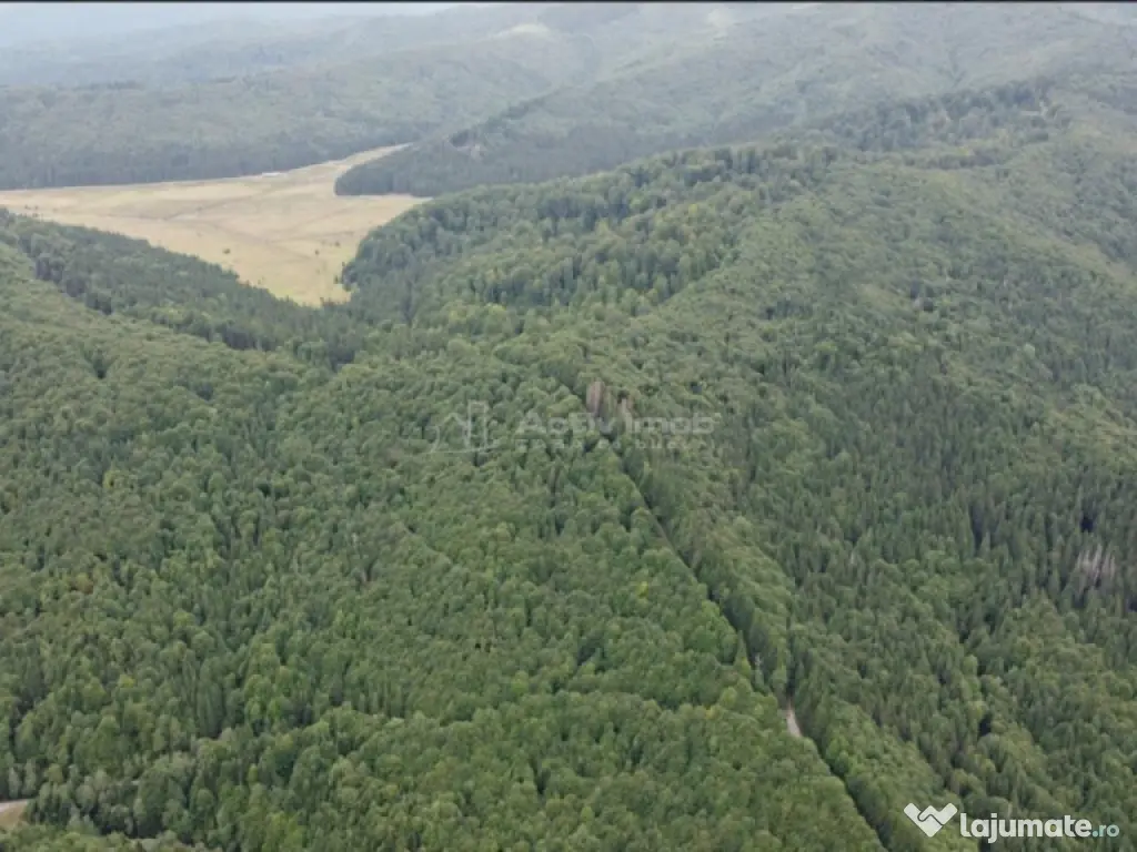 Teren 7 ha, Lac Vidraru, Podis Molivis