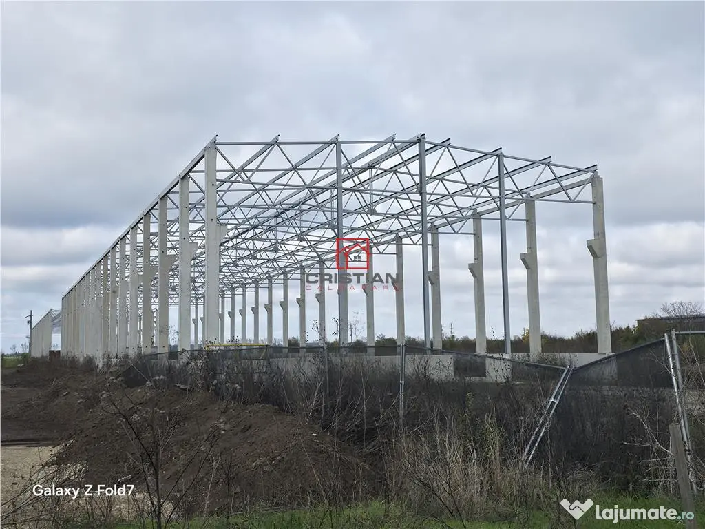 Depozit/hala/spatiu industrial Mogosoaia - Buftea 