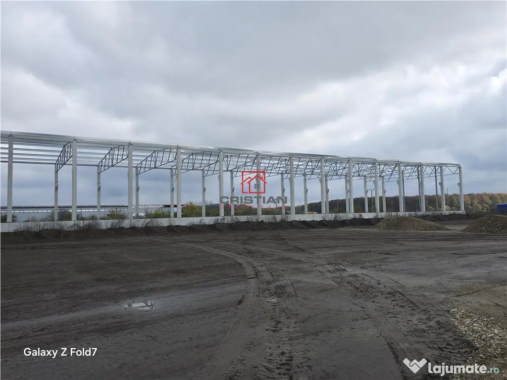 Depozit/hala/spatiu industrial Mogosoaia - Buftea 