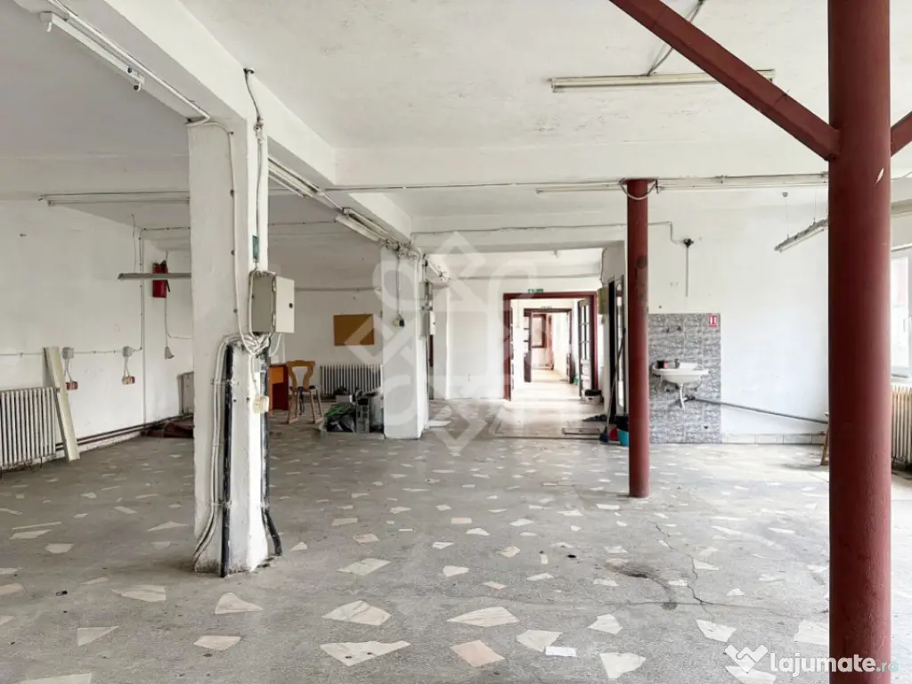 Casa si spatiu de productie in Iosia, teren 839 mp 