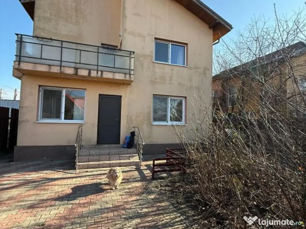 Apartament in vila Tunari, Lidl 