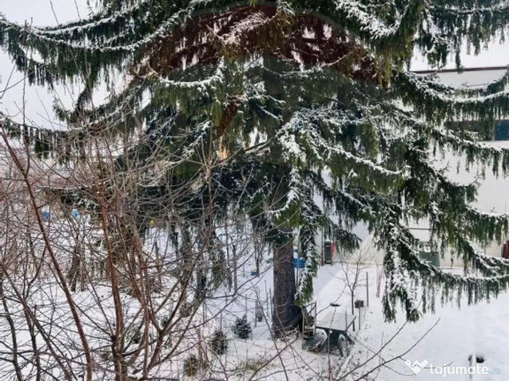 Apartament la vila - 2 camere - în zona Vasile Aaron