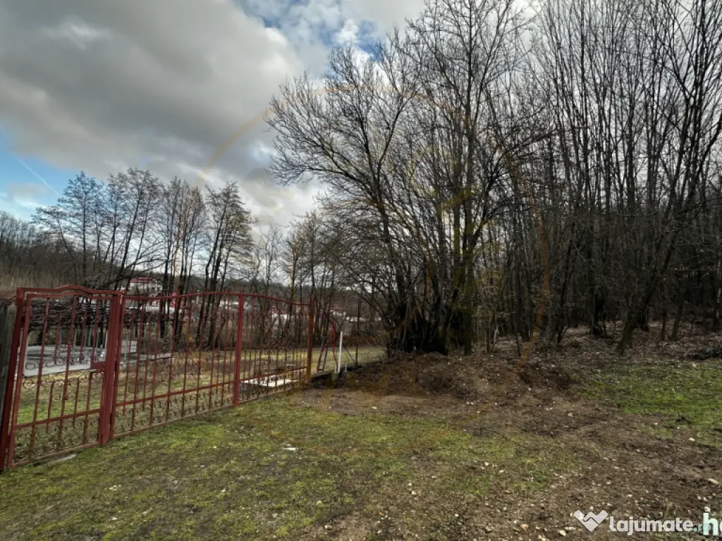 Teren 844 mp Mosoaia-Basangesti 